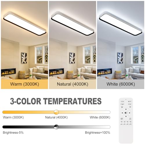 Modern LED Ceiling Light