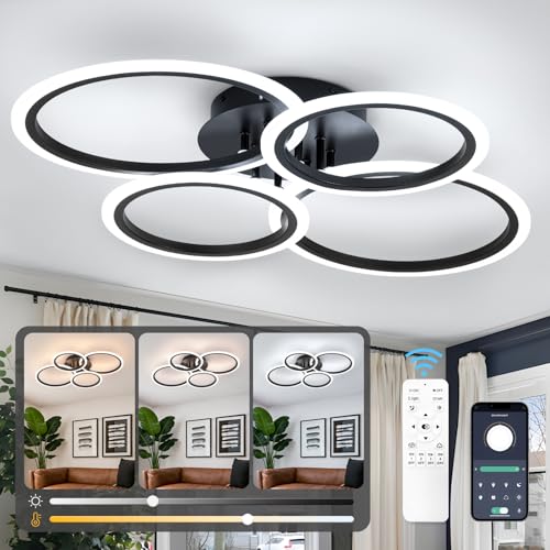 Black Modern Ceiling Light