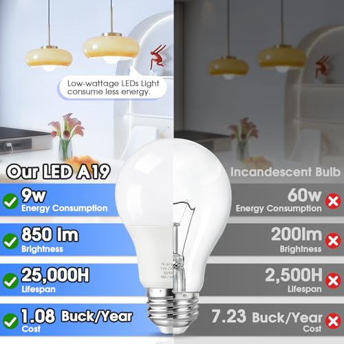 A19 LED Light Bulbs (24 Count)