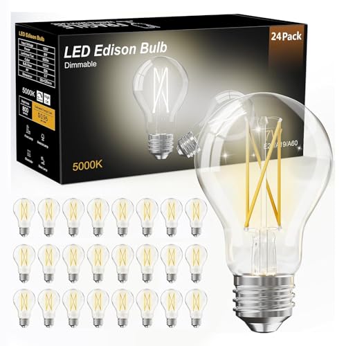 24 Pack A19 Vintage LED Edison Bulbs (24 Count)