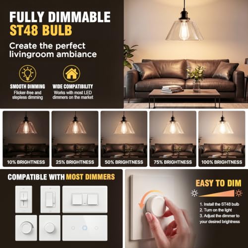 LED Edison Light Bulbs 12 Pack
