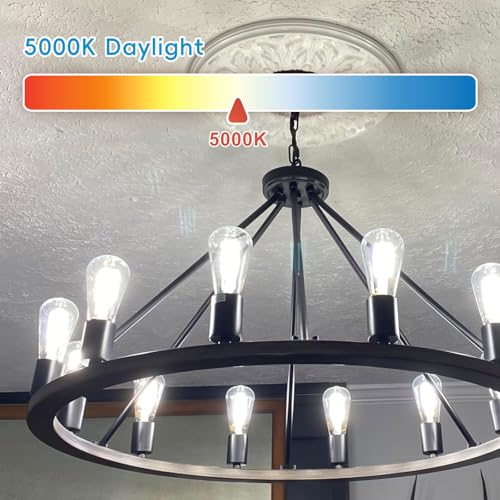 Edison Bulbs E26 LED Bulb 60 Watt Equivalent