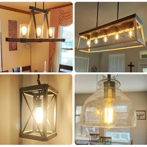 Vintage LED Edison Bulbs (6 Count)