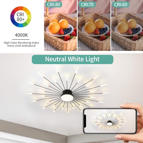 Modern Ceiling Light