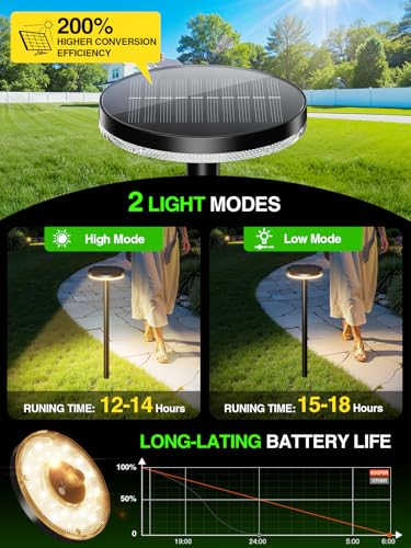 3X Larger & Taller Solar Pathway Lights Outdoor