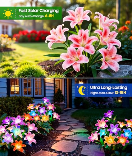 Solar Garden Lights (6 Count)