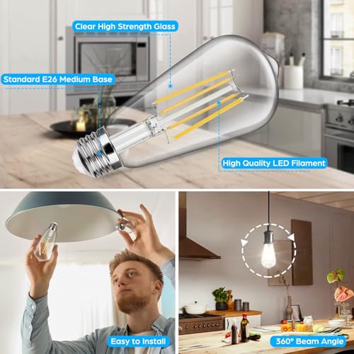 12 Pack Vintage LED Edsion Bulbs 100W Equivalent (12 Count)
