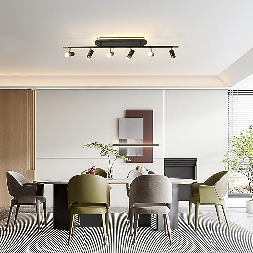 Modern LED Ceiling Lights