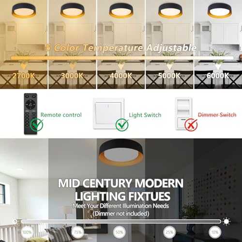 Flush Mount Ceiling Light with Remote & Night Light