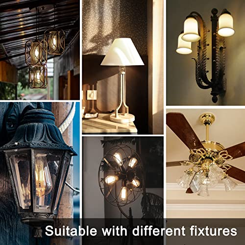 12 Pack Edison LED Light Bulbs (12 Count)