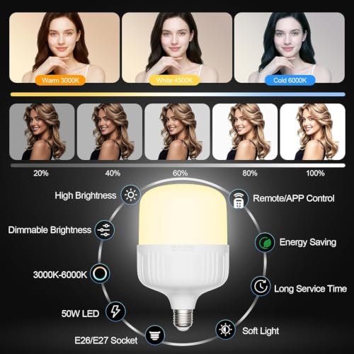 Softbox Photography Lighting Kit (2 Count)