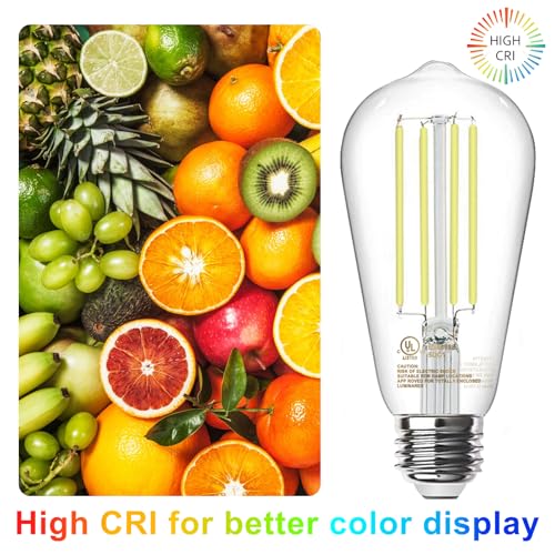 LED Edison Light Bulbs (10 Count)