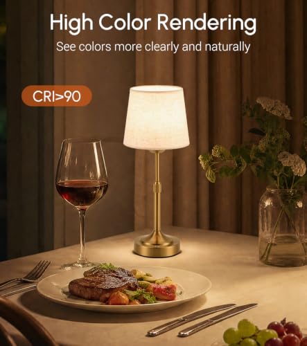 2 Pack Rechargeable Cordless Table Lamp (2 Count)