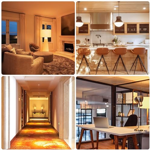 BR30 LED Light Bulbs