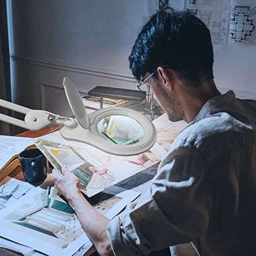 Bifocal LED Magnifying Lamp with Clamp