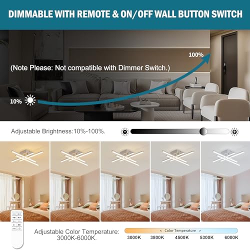 Modern Flush Mount LED Ceiling Light Fixture
