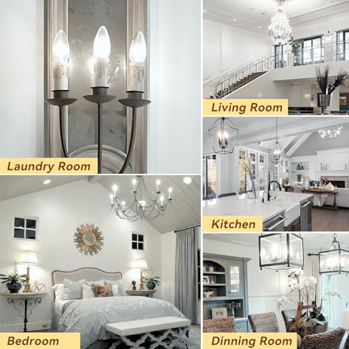 Candelabra LED Bulbs (12 Count)