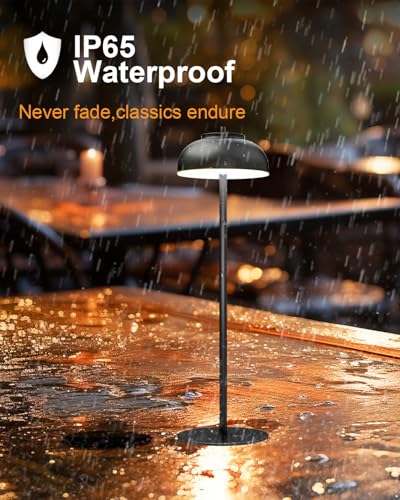 Cordless Table Lamps (4 Count)