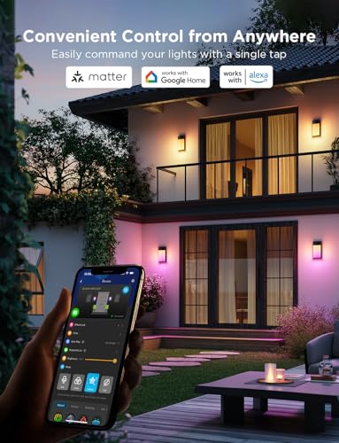 Outdoor Wall Light (2 Count)