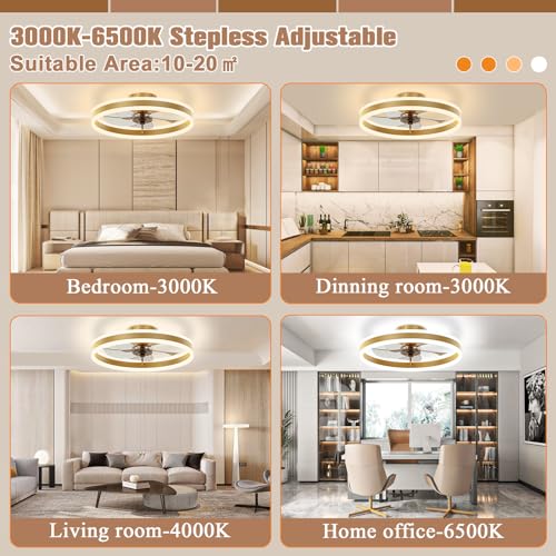 Low Profile Ceiling Fans with Lights and Remote