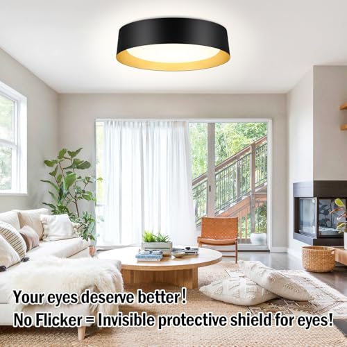 Flush Mount Ceiling Light