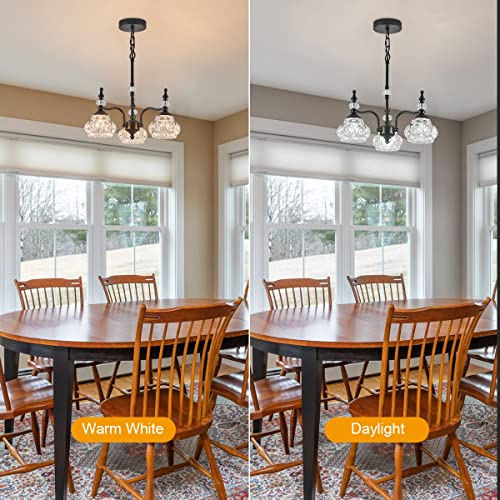 Modern 3 Light Chandeliers Black Kitchen Island Pendant Light for Farmhouse Living Room Bedroom Hotel