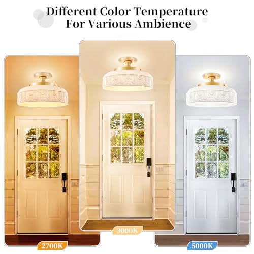 Semi Flush Mount Ceiling Light