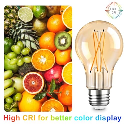 A19 LED Edison Light Bulb (6 Count)