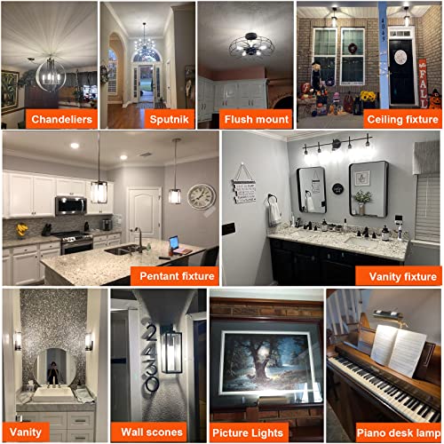 T10 E26 Bulb Edison Light Bulbs (6 Count)