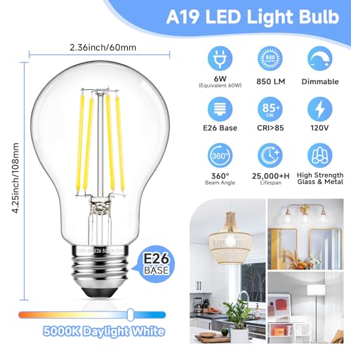 A19 Vintage LED Edison Light Bulbs 60W Equivalent (4 Count)