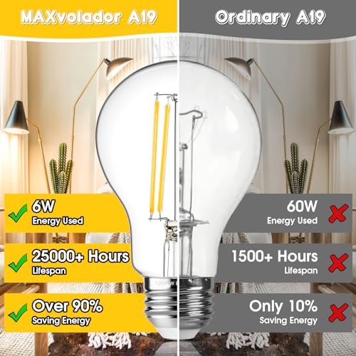 60W Equivalent E26 LED Filament Light Bulbs (4 Count)