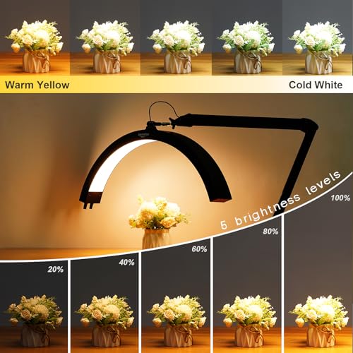LED Half Moon Light with Desk Clamp