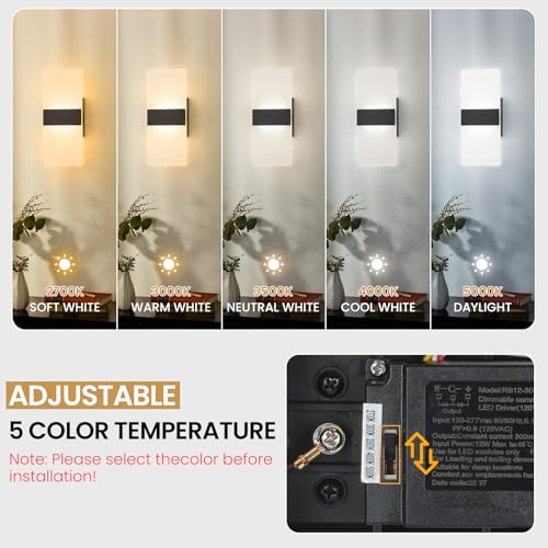 Modern LED Wall Sconce