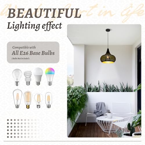 Black Pendant Light Fixture Vintage Hanging Lamp Hollow Chandelier