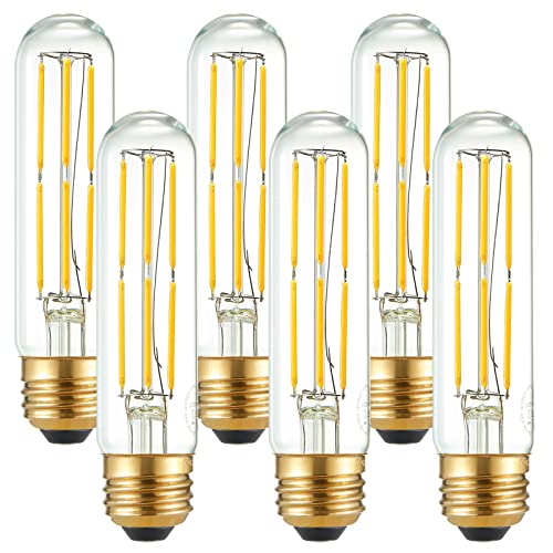 T10 E26 Bulb Edison Light Bulbs (6 Count)