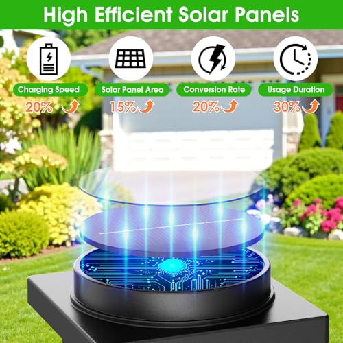 Solar Pathway Lights Outdoor (8 Count)