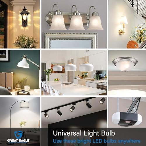 100W LED Light Bulb Equivalent 1500 Lumens A19 Warm White 2700K Dimmable UL Listed (6 Count)