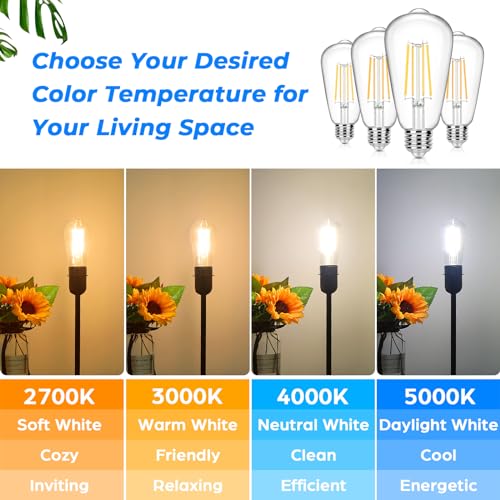 4 Pack Vintage LED Edsion Bulbs 100W Equivalent (4 Count)