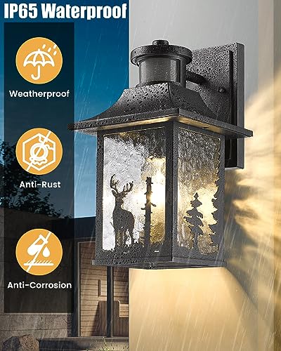Motion Sensor Outdoor Wall Light Dusk to Dawn Porch Light Wall Mount