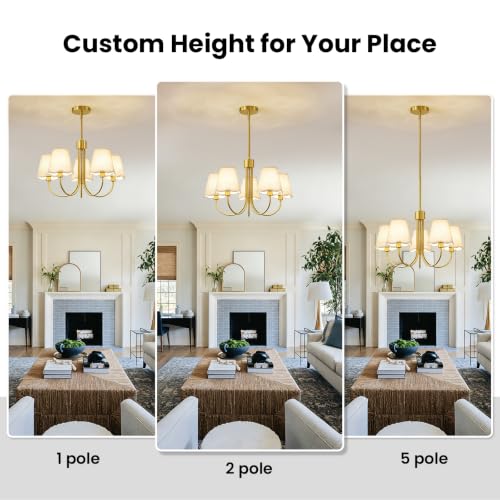 Modern Gold Chandelier 5 (Gold)