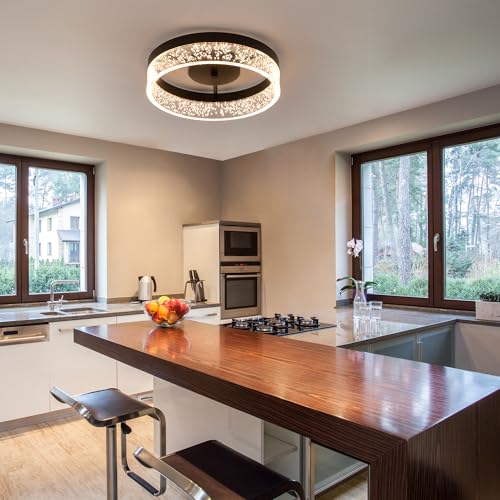 Modern LED Ceiling Light Fixture