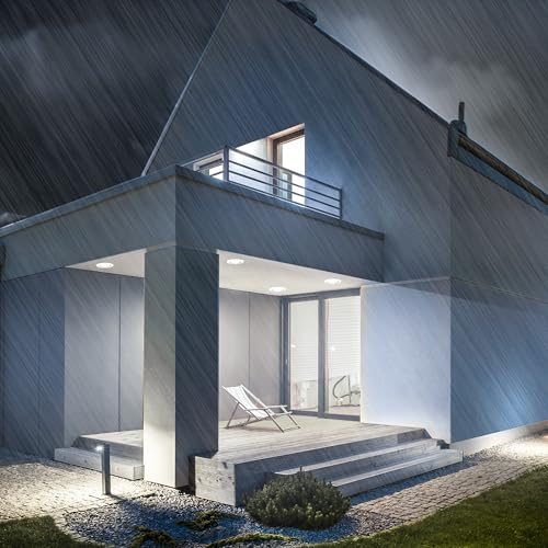 BR30 LED Flood Light Bulb (2 Count)