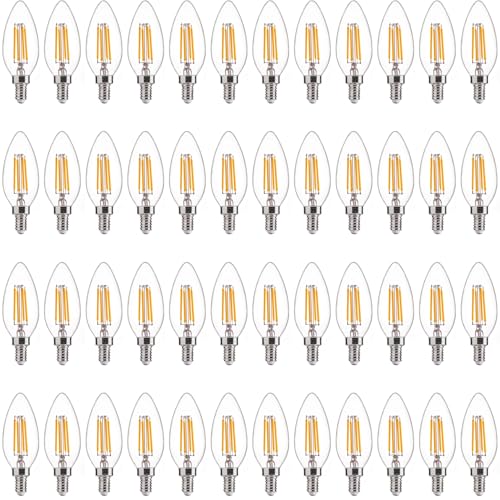 60W Equivalent LED Chandelier Light Bulbs (48 Count)