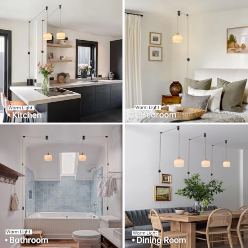 Plug in Pendant Light Hanging Light Fixture Corded On