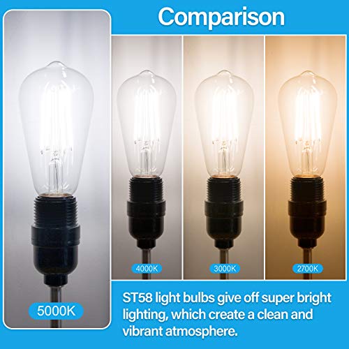 Vintage LED Edison Bulbs 60 Watt Equivalent (12 Count)