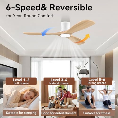 Flush Mount Ceiling Fans with Lights and Remote