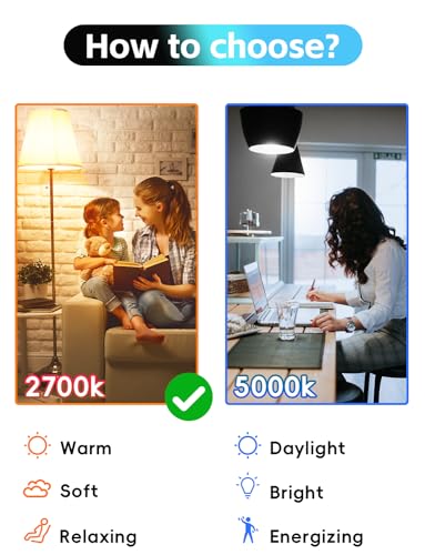 Edison Bulbs E26 LED Bulb 60 Watt Equivalent