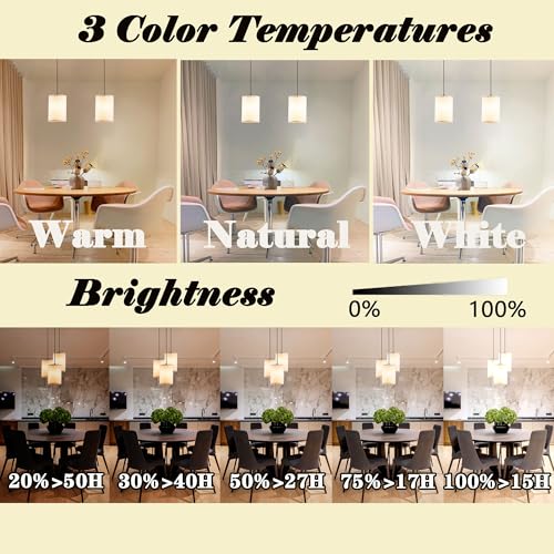 Battery Operated Pendant Light with Remote