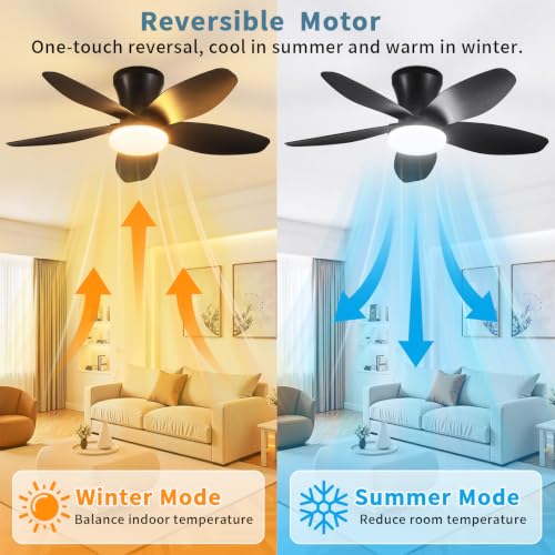 Small Ceiling Fan with Lights (32 Inch)