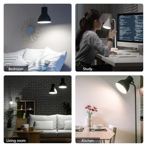 A19 LED Light Bulbs Dimmable (4 Count)